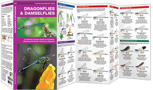Pocket Naturalist: Dragonflies & Damselflies