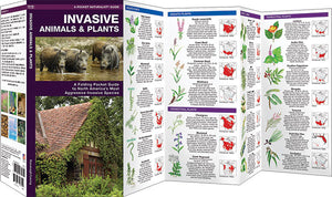 Pocket Naturalist: Invasive Animals & Plants