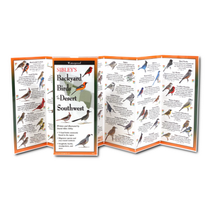 Pocket Guide: Sibley's Backyard Birds of the Desert Southwest