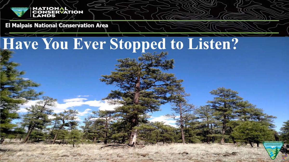 Have You Ever Stopped To Listen Public Lands Interpretive Association