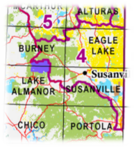 California Pronghorn Antelope Hunt Zone 4
