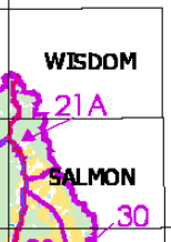 Idaho Hunting Unit 21A