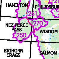 Montana Bighorn Sheep Hunting District 250