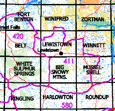 Montana Bear Hunting District 411