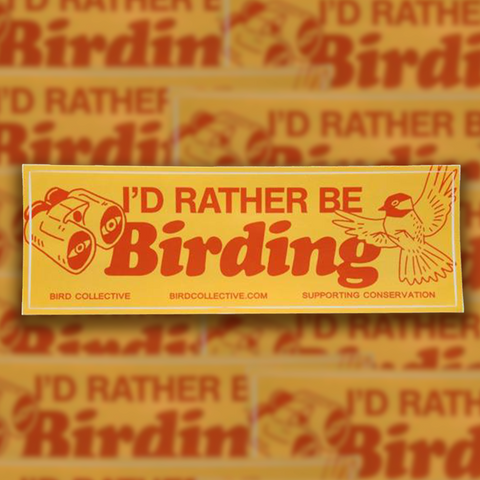 Bumper Sticker: I'd Rather be Birding