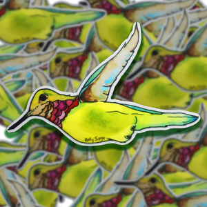 Sticker: Hummingbird