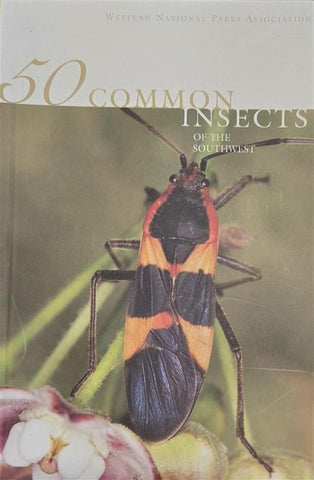 50 Common Insects of the Southwest