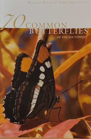 70 Common Butterflies of the Southwest