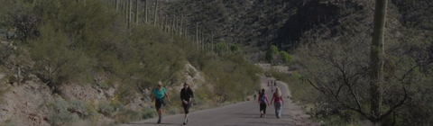 Recreationists hike and jog among desert scenery and cacti in the mountainous Sabino Canyon Recreation Area.