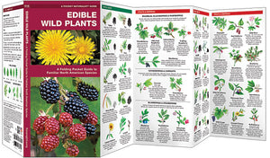 Pocket Naturalist: Edible Wild Plants