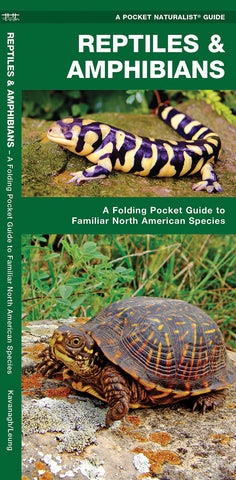 Pocket Naturalist: Reptiles & Amphibians