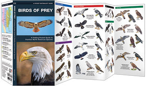 Pocket Naturalist: Birds of Prey