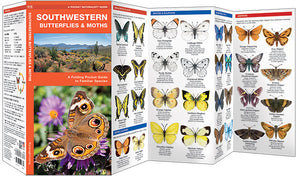 Pocket Naturalist: Southwestern Butterflies & Moths
