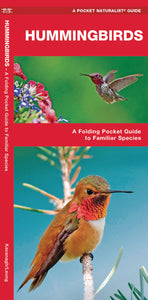 Pocket Naturalist: Hummingbirds