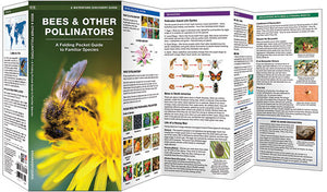 Pocket Naturalist: Bees & Other Polinators