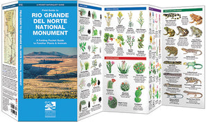 Field Guide to Rio Grande del Norte National Monument