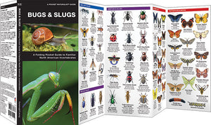 Pocket Naturalist: Bugs & Slugs