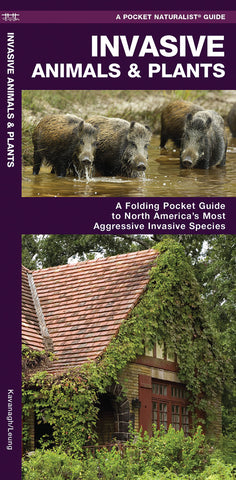 Pocket Naturalist: Invasive Animals & Plants