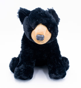 Plush: Black Bear 13"