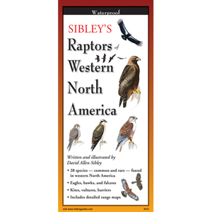 Pocket Guide: Sibley's Raptors of Western North America