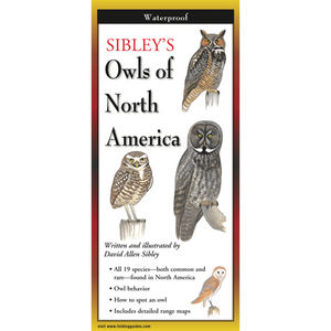 Pocket Guide: Sibley's Owls of North America