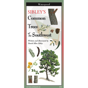 Pocket Guide: Sibley's Common Trees of the Southwest