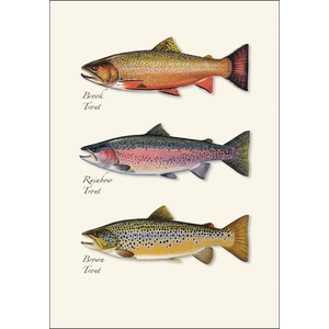 Boxed Notecards: Trout Trio