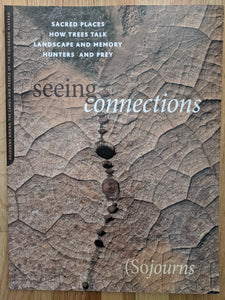 Sojourns Seeing Connections