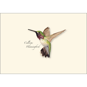 Boxed Notecards: Western Hummingbird