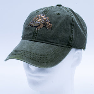 Hat: Desert Tortoise
