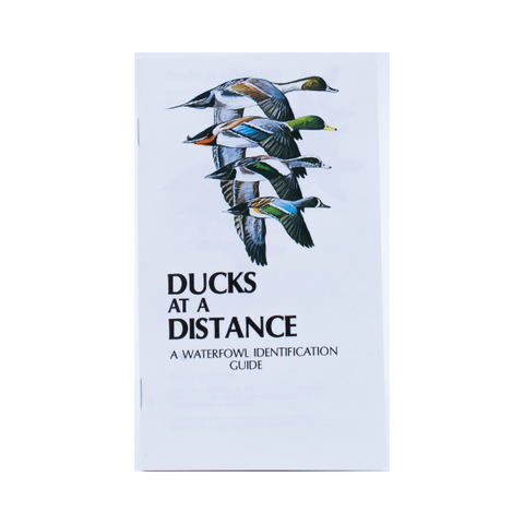 Ducks At A Distance