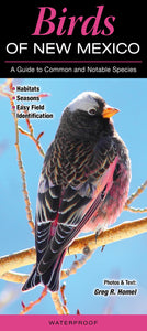 Pocket Guide: Birds of New Mexico